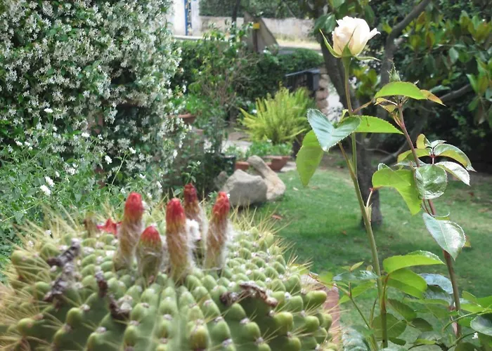 Frühstückspension Dessole Olbia